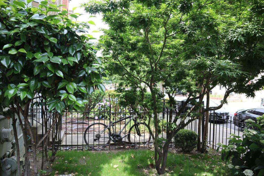 3-Bedroom House With Cute Patio Explore Dc On Foot Washington Luaran gambar